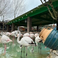 Photo taken at Flamingo Köy by Şeyda . on 2/18/2024