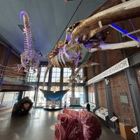 Foto tomada en New Bedford Whaling Museum  por Dima T. el 5/19/2023