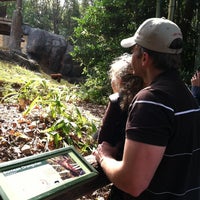 Photo taken at Orangutan Exhibit by Julie S. on 10/27/2012