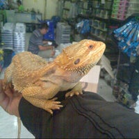 Photo taken at Savera Reptile by Widy K. on 10/17/2012
