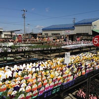 三貴フラワーセンター 本店売場 5 Tips From 3 Visitors