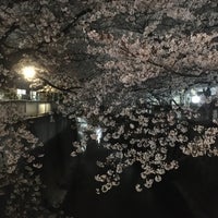 Photo taken at 神田川 東中野～小滝橋 by きみ on 3/31/2020