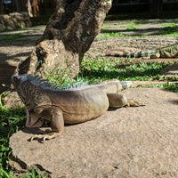 Photo taken at Bali Reptile Park by Claus . on 3/3/2023