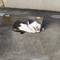 ケーヨーデイツー 川口一丁目店 川口市 埼玉県