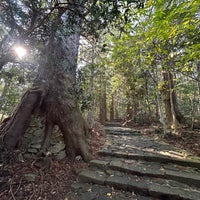 Photo taken at Kumano Kodo Daimonzaka by Rumi on 12/7/2023