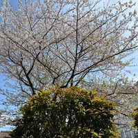 Photo taken at 川口総合文化センターリリア メインホール by Rumi on 4/13/2024