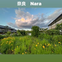 Photo taken at Tawaramoto Station by Rumi on 5/16/2023