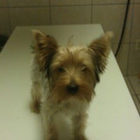 Photo taken at North Loop Pet Clinic by Sindy V. on 11/7/2011