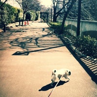 Photo taken at 雅叙園バージンロード by Saki S. on 2/18/2012