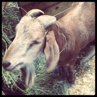 รูปภาพถ่ายที่ Woodstock Farm Animal Sanctuary โดย Julie L. เมื่อ 7/31/2011