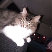 Review Gardenia fitness center & swimming pool