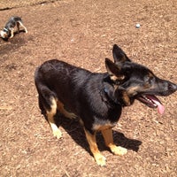Photo taken at Wolfe&amp;#39;s Pond Park Dog Run by Valerie C. on 5/29/2012