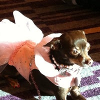 Photo taken at BarkWorld Expo 2011 by Tanya F. on 10/1/2011