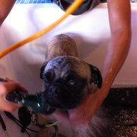 รูปภาพถ่ายที่ South Bark Dog Wash โดย Josh R. เมื่อ 8/16/2011