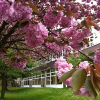 Photo taken at Prinses Paolaschool by Tanguy D. on 4/28/2012