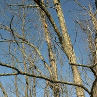 Lincoln Ridge Park Independence Ky