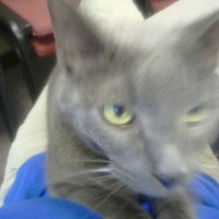 Fairway Animal Hospital - Veterinarian in Fairway Fairway Animal Hospital - Veterinarian in Fairway