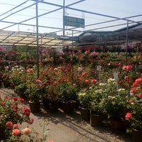 San Gabriel Nursery Florist Garden Center Photo Taken At San Gabriel Nursery Amp Florist By Jonathan O On