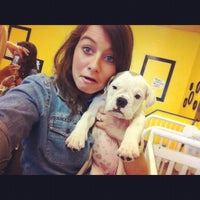 Puppy Zone Now Closed Knoxville Tn