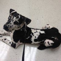 banfield waterford lakes