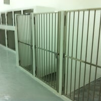 Brp Animal Clinic Surgery Veterinarian