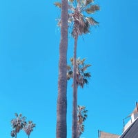 Photo taken at NeueHouse Venice Beach by Omar k. on 3/11/2024