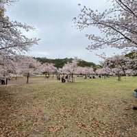 Photo taken at Horinouchi Park by Jim G. on 3/27/2023