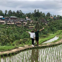 Photo taken at Tegallalang Rice Terraces by drmarrten on 3/4/2020