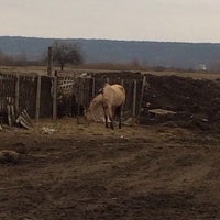 Photo taken at Школа Верховой Езды by Алена Г. on 2/25/2014