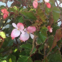 Photo taken at Soto Nursery by Carlos S. on 11/3/2012