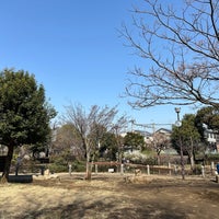 Photo taken at Ochiai Park by shinodogg on 3/16/2024