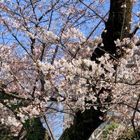 Photo taken at Araiyakushi Park by shinodogg on 3/24/2022