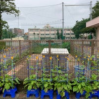 Photo taken at Hakuo Elementary School by shinodogg on 7/5/2020