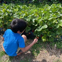 Снимок сделан в Strawberries on 903 пользователем kaizar c. 5/8/2021