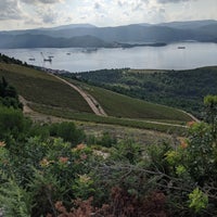 10/19/2019 tarihinde Jen W.ziyaretçi tarafından Winery Rizman'de çekilen fotoğraf