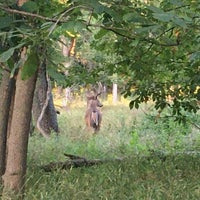 Photo taken at Bunker Hill Forest Preserve by CW on 8/23/2021