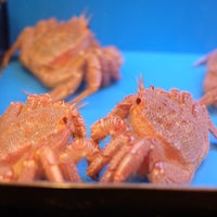 はなの舞 成田店 成田市 1 Tip