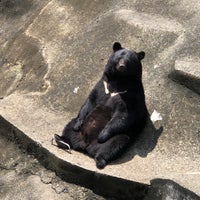 阿仁熊牧場 くまくま園 Zoo In 北秋田市