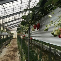 渥美観光マル武農園 マルタケエン Farm In 田原市