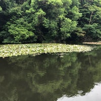 Photo taken at Nan-Chi (South Pond) by Takashi S. on 6/8/2022