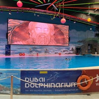 Photo taken at Dubai Dolphinarium by Wan Mohd Zikril on 5/3/2022