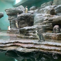 Photo taken at Pavilion of Penguins by Luci on 5/21/2022