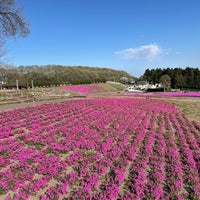 みさと芝桜公園 箕郷町松之沢12 1