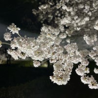 Photo taken at Shoryuji Castle Ruins by yatsuhashi♨️ n. on 4/2/2022