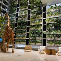 ニコラス G ハイエックセンター 銀座 Tokyo 東京都 ニコラス G ハイエックセンター 銀座 Tokyo 東京都