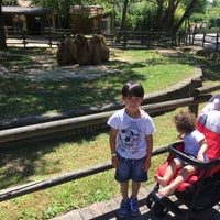 Photo taken at Parco Zoo Punta Verde by Patty R. on 6/11/2017