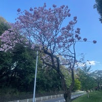 Photo taken at 四季の森公園 by keigo i. on 4/16/2024