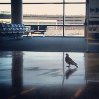 Newark Liberty International Airport Ewr Newark Airport And Port Newarkの 空港 Newark Liberty International Airport Ewr Newark Airport And Port Newarkの 空港