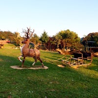 Photo taken at Polonezköy Zoo Country Club by Ahmetakgun53 on 9/5/2015