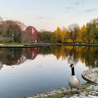 Photo taken at Lake Elizabeth by Amy F. on 11/13/2020